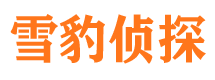 淮阳侦探公司